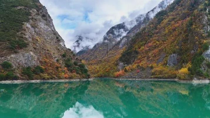 重磅!聊城这里“房票”政策实施,买房可补贴10%!